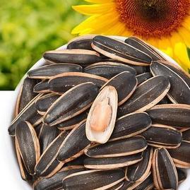 湖北襄陽樊城區(qū)湖北恒橋農(nóng)產(chǎn)品 - 一畝田