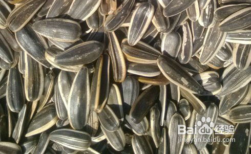 瓜子炒出 宮廷味兒