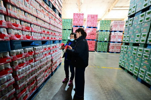 餐桌上的食品安全無(wú)小事,走進(jìn)沈陽(yáng)綠色工廠(chǎng),探訪(fǎng)神秘生產(chǎn)線(xiàn)