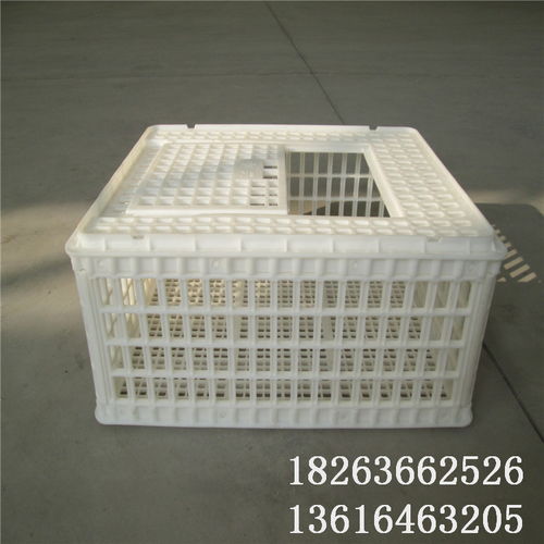 【塑料雞籠圖片和價格運(yùn)輸雞筐批發(fā)】-