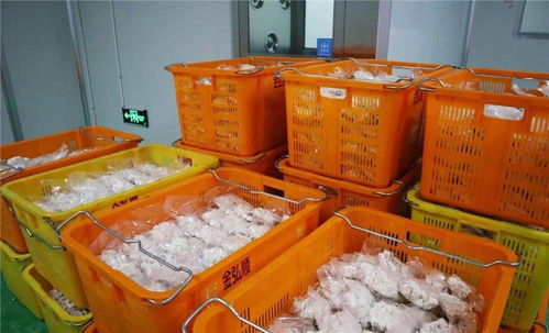 從同安到赤錫,永泰這個農(nóng)產(chǎn)品加工廠越做越大