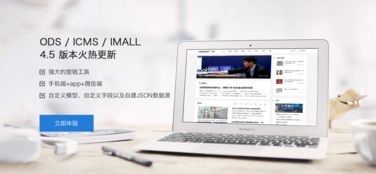 公司動態