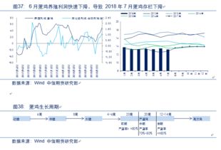萬字干貨 蘋果 玉米 油脂 棉花 農(nóng)產(chǎn)品后市運(yùn)行邏輯及交易策略展望