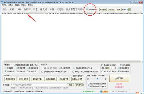 怎么操作亞馬遜無貨源店鋪,無貨源網店怎么開
