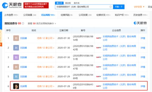 樂(lè)視網(wǎng)原董事長(zhǎng)劉淑青被限制高消費(fèi)